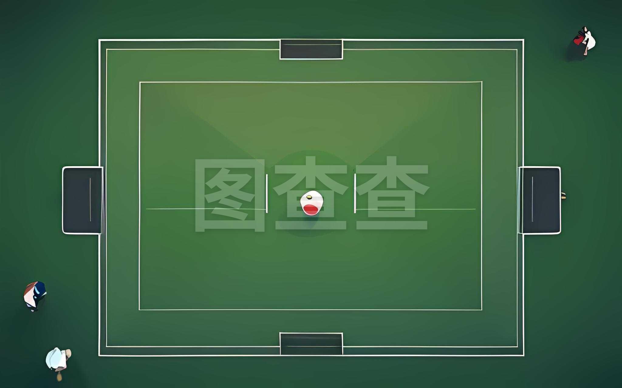 的主场