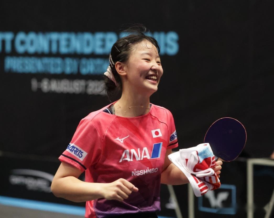 长期积累的 长期积累的